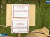 Ещё в одном муниципалитете Ивановской области объявили карантин по узелковому дерматиту