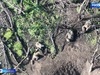Ивановские десантники уничтожили группу диверсантов ВСУ на Ореховском направлении