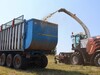 В хозяйствах региона заготовлено почти 230 тысяч тонн грубых и сочных кормов для животноводства