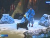 Зрители новой программы в Ивановском цирке могут отправиться в большое морское путешествие