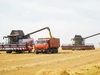 В Ивановской области набирает обороты уборочная кампания