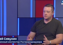 Вести 24 - Интервью А. Сивухин