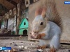 Ивановский зоопарк снизил цены в честь юбилея