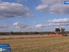 Аграрии Ивановской области получают дополнительную помощь от государства