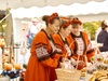 На «Дне урожая» продукцию представили почти 200 производителей Ивановской области