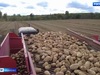 Аграрии Ивановской области завершают уборку зерновых культур