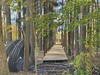 В Родниках продолжают обновление городской среды и социальной инфраструктуры