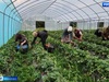 6-й поток «Школы фермера» стартовал в Ивановской области