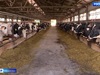 Больше половины годового объема средств господдержки довели до аграриев Ивановской области
