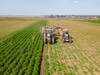Аграрии Ивановской области завершают уборочную кампанию