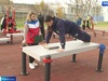 Новая площадка с 17 уличными тренажерами появилась в Иванове