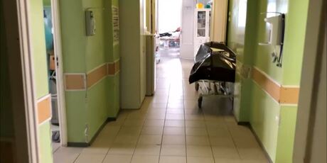 какие змеи обитают в вологодской области. Смотреть фото какие змеи обитают в вологодской области. Смотреть картинку какие змеи обитают в вологодской области. Картинка про какие змеи обитают в вологодской области. Фото какие змеи обитают в вологодской области