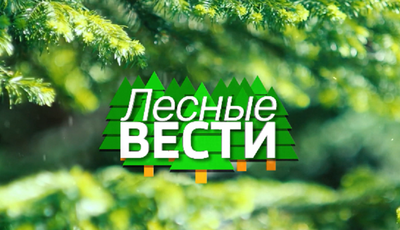 Лесные вести