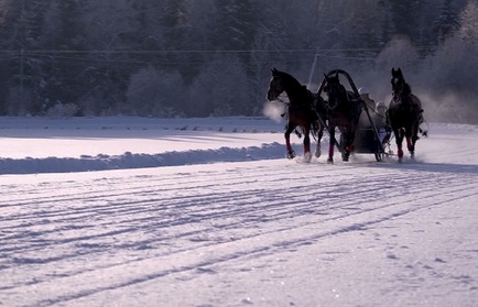 Специальный репортаж: фестиваль «Русская тройка»