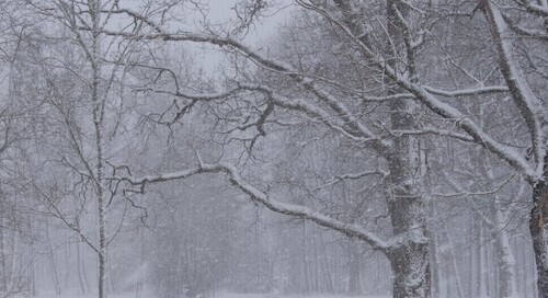 Синоптики предупредили вологжан о сильном снегопаде и гололёде