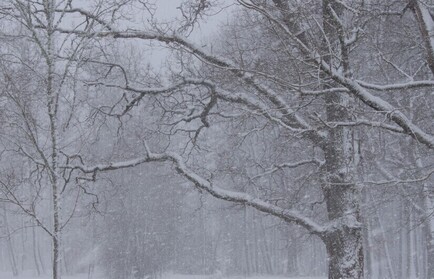 Синоптики предупредили вологжан о сильном снегопаде и гололёде