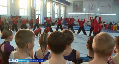 Кубок губернатора по спортивной гимнастике торжественно открыли в Вологде