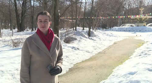 Череповецкие вести: транспортная система, школа пчеловодства, юбилей ЦНК «Феникс»