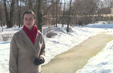 Череповецкие вести: транспортная система, школа пчеловодства, юбилей ЦНК «Феникс»