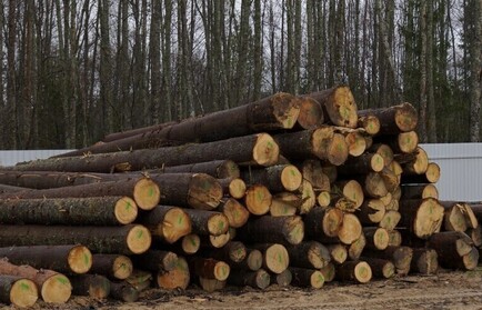 37-летний рабочий получил тяжёлые травмы на лесопилке в Тотемском округе