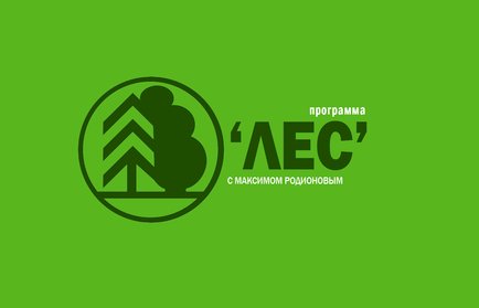 Лес: пуск новых производств на Шекснинском комбинате древесных плит и ВохтогаЛесДрев