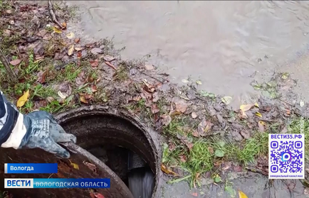 Затяжные дожди стали причиной осложнения обстановки в Вологодской области