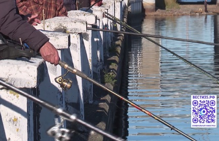 Сезон пошёл: городские набережные Вологды и Череповца оккупированы рыбаками