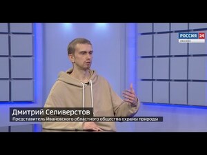 Вести 24 - Интервью. Д. Селиверстов
