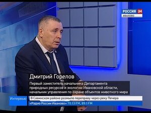 Вести 24 - Интервью.Д. Горелов 
