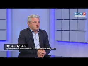 Вести 24 - Интервью. М. Мугаев