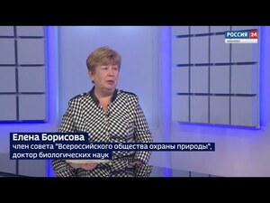 Вести 24 - Интервью Е. Борисова