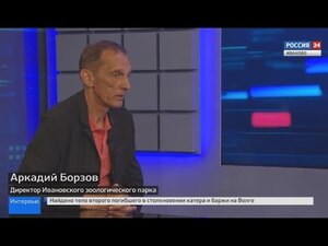Вести 24 - Интервью А. Борзов