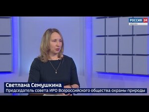 Вести 24 - Интервью. С. Семушкина