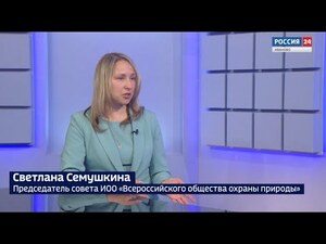 Вести 24 - Интервью С. Семушкина