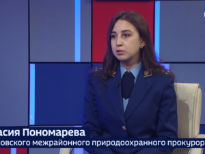 Вести 24 - Интервью А. Пономарева