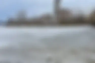 Кинешемец снял на видео, как куница в центре Кинешмы ловко расправлялась с рыбой