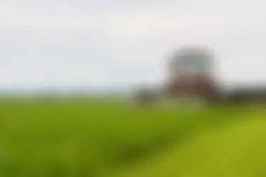 Ивановские аграрии прогнозируют в этом году рекордный урожай