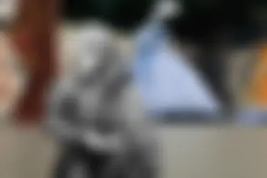 Фотоколлажные ивановские утки отправились на выставку "Не только ситец"