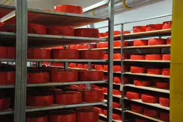 За 10 месяцев 2023 года в Ивановской области увеличилось производство сыра на 5,5%