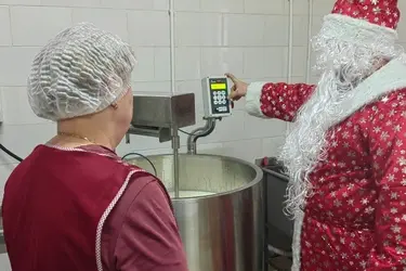 "Сытая Дуся" готовится варить сыры-тяжеловесы