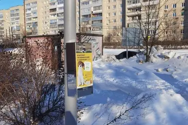 В Московском микрорайоне Иванова появились диспенсеры для собак