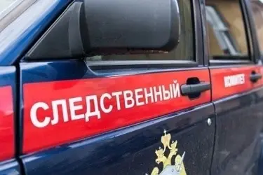 Следком: в Пестяках Ивановской области четверо подростков угнали из гаража автомобиль