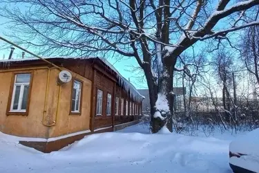 Ивановцы готовы поддерживать 200-летний зубковский дуб