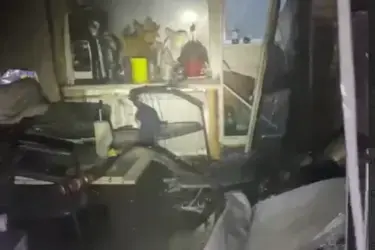В Иванове пожарные спасли из огня кота и хомяка