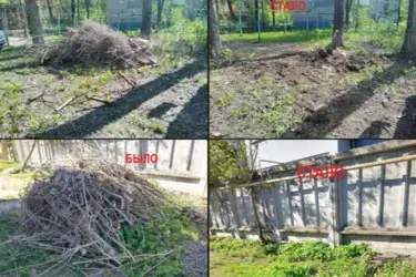 Уборка стихийных свалок в 2023 году обошлась администрации города Иваново в 27 млн рублей