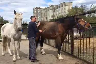 В Ивановском зоопарке проходит неделя красоты