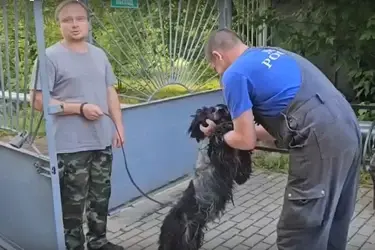 Спаниель, которого приютил Ивановский зоопарк, вернулся к хозяину