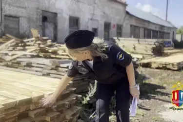 Полиция и ФСБ в Ивановской области вскрыли схему незаконной вырубки леса