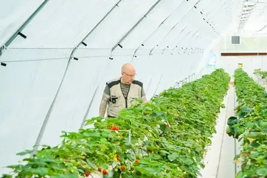 В Ивановской области начался очередной набор слушателей в "Школу фермера"