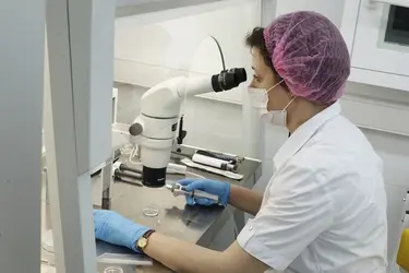 7 жителей Ивановской области заразились болезнью Лайма от клещей